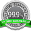 uptime_guarantee-80x80